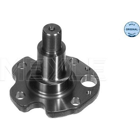 Articulatie directie. suspensie roata stecher butuc roata spate Dreapta-Stanga AUDI A3 TT SEAT INCA LEON TOLEDO I VW BORA Variant (1J6), Turism, 05.1999 - 05.2005 Meyle 100 501 0029