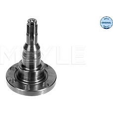 Articulatie directie. suspensie roata stecher butuc roata spate Dreapta-Stanga AUDI 80 B2 80 B3 90 B2 90 B3 COUPE VW JETTA I (16), Sedan, 08.1978 - 12.1987 Meyle 100 501 1010