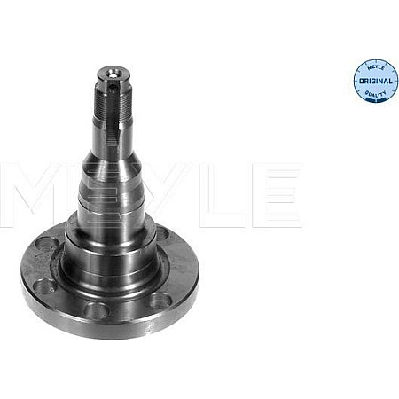 Articulatie directie. suspensie roata stecher butuc roata spate Dreapta-Stanga AUDI 80 B2 80 B3 90 B2 90 B3 COUPE VW JETTA I (16), Sedan, 08.1978 - 12.1987 Meyle 100 501 1010