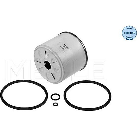 Filtru combustibil FIAT Series 50, Cadru de sprijin, 01.1972 - 12.1976 Meyle 100 323 0007