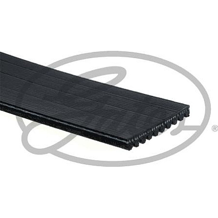 Curea transmisie cu canel Multi-V-curea 10PK1980 MAN LIONS CITY SCANIA PGRT NEOPLAN CENTROLINER STARLINER D08 NEOPLAN Starliner, Autobuz, 09.1996 - Dayco 10PK1980HD