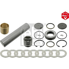 Set reparatie. pivot Kit pivot cu rulment 50-51mmx2225mm MAN E2000 F2000 HOCL LIONS CITY LIONS CLASSIC M 2000 L MAN F2000 (T07 / T07 26.3 6X2 O O), 01.1994 - Febi Bilstein 18999