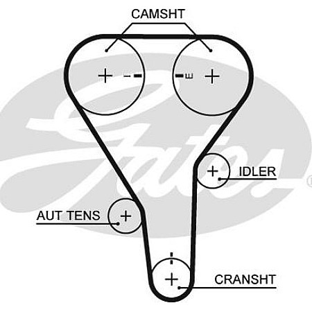 Curea de distributie MAZDA PREMACY (CP), Dubita, 01.1999 - 03.2005 Gates 5356 XS