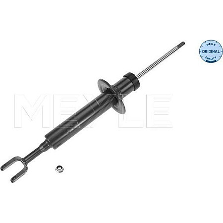 Amortizor AUDI A4 III (8EC, B7), Sedan, 11.2004 - 06.2008 Meyle 126 625 0004