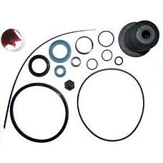 Set reparatie, cilindru cuplare pentru servo: 627946AM WACH-MOT WT/TSK.25.12