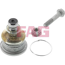 Pivot NISSAN NOTE (E11, NE11), Dubita, 01.2005 - 08.2013 FAG 825 0245 10