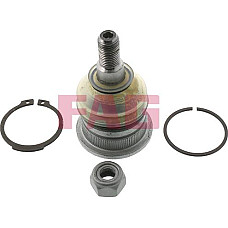 Pivot HYUNDAI XG, Sedan, 09.2000 - 12.2005 FAG 825 0251 10