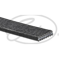 Curea transmisie cu canel Multi-V-curea 8PK1630 Gates 8DPK1630HD