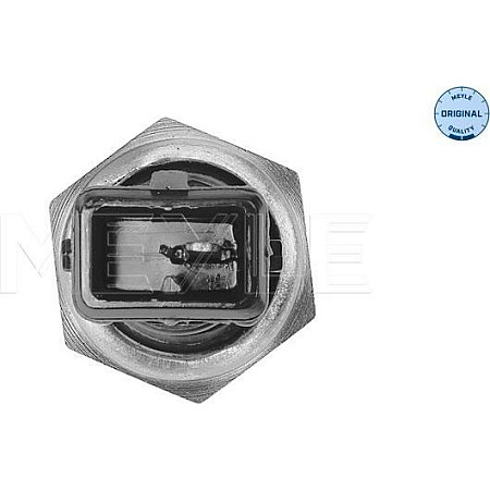 Senzor.presiune ulei Senzor presiune ulei 02-05bar 1 pin maro BMW 1 E81 1 E82 1 E87 1 E88 1 F20 1 F21 2 F22 F87 3 BMW X3 - II (F25), Crossover, 09.2010 - 08.2017 Meyle 314 126 1101