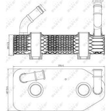 Radiator ulei. ulei motor Oil cooler AUDI A3 SKODA OCTAVIA I VW CALIFORNIA T4 CAMPER PASSAT B3-B4 POLO POLO III CLASSIC TR SEAT TOLEDO III (5P2), Dubita, 04.2004 - 05.2009 NRF 31186