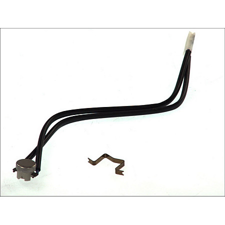 Incalzire suplimentara, cabina oferului Senzor de flacara de parcare EBERSPACHER HEATING 25 1895 99 35 00