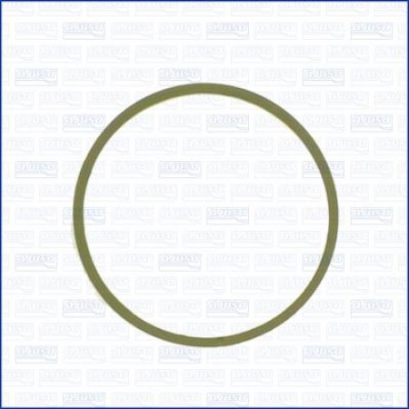 Garnitura, galerie admisie PEUGEOT 207 (W*****), Sedan, 12.2007 - 12.2014 Ajusa 24023100