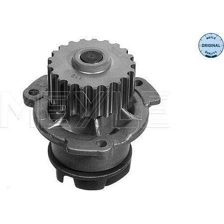 Pompa apa LADA SAMARA (21099, 2115), Sedan, 09.1987 - 12.2012 Meyle 213 108 1307