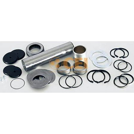 Set reparatie. pivot Kit pivot pe set 1 roata cu rulment cu pivot 495mm-50mmx223mm MAN E2000 EL F2000 F90 F90 UNT MAN M 2000 M (L73), 08.1995 - 12.2005 C.E.I. 230017