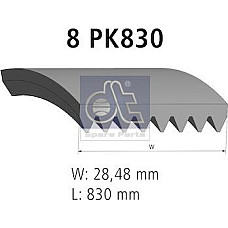 Curea transmisie cu canel Multi-V-curea 8PK830 VOLVO B12 FH12 FL12 FM12 NH12 D12A340-D12D500 01.92- VOLVO FM12 (FM9), 08.1998 - 11.2008 DT Spare Parts 2.21058