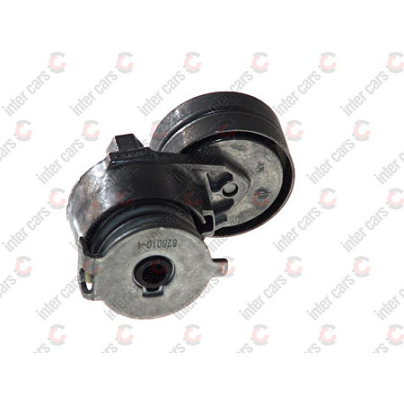 rola intinzator curea transmisie RENAULT MEGANE III coupe DZ0/1 Producator SKF VKM 36072