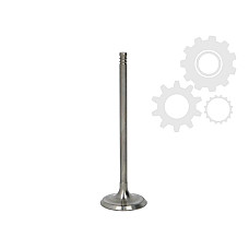 Supapa admisie OPEL ASTRA G hatchback F48 F08 Producator PARADOWSCY POPE027