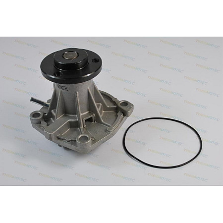 pompa apa CHRYSLER GRAND VOYAGER / VOYAGER III GS Producator THERMOTEC D1G042TT