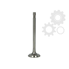 Supapa evacuare VW CADDY II kombi 9K9B Producator PARADOWSCY PSEA063