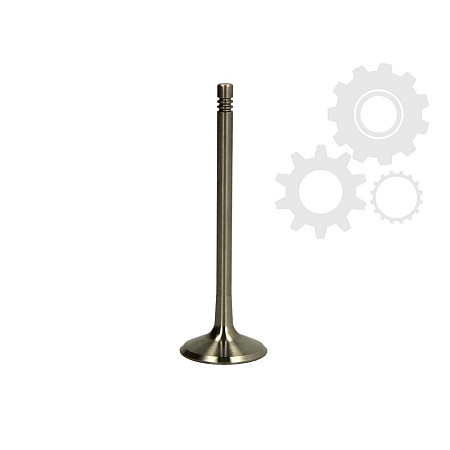 Supapa admisie VW GOLF PLUS 5M1 521 Producator PARADOWSCY PVW082