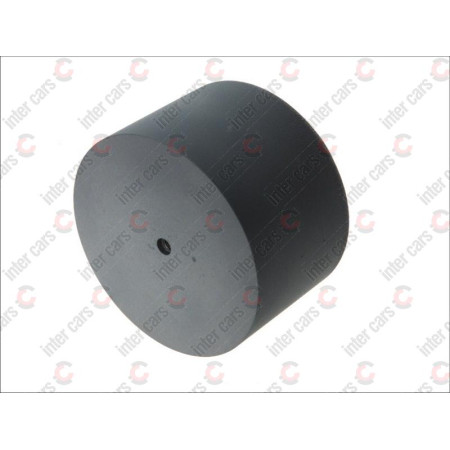 Piston perna de aer Producator BPART D11E01