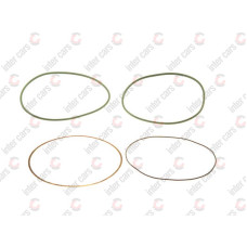 Set garnituri bucsa cilindru NEOPLAN Cityliner Producator PAYEN HT018