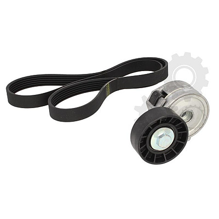 Set curea transmisie cu caneluri CITROEN C5 II Break RE Producator SKF VKMA 33320