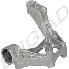 Suport, bucsa brat SKODA FABIA I (6Y2), Hatchback, 08.1999 - 03.2008 Bugiad BSP20325
