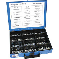 Surub gresare Zestaw Smarowniczek H1/H2/H3 M6-M10 12 kmorowy 215 szt. DRESSELHAUS 4499/000/06 8554