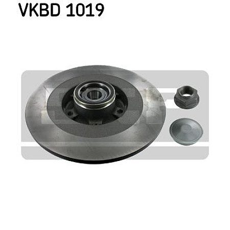 Disc frana RENAULT LAGUNA III BT0/1 Producator SKF VKBD 1019