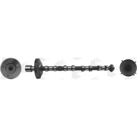 Ax cu came Arbore cu came Partea de admisie MITSUBISHI L200 - TRITON PAJERO SPORT II PAJERO SPORT III 2.5D 11.05- MITSUBISHI L200 / TRITON (KA_T, KB_T), Cadru de sprijin, 03.2006 - 12.2015 AE CAM973