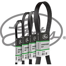 Curea transmisie cu canel Fan Multi-V-belt THERMO KING SL 100e SL 200e SL 400e Gates CB0036