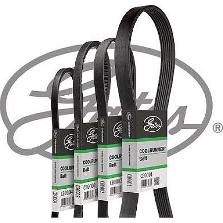 Curea transmisie Water pump V-Belt THERMO KING SL 100e SL 200e SL 300 SL 400e SLX100 SLX200 SLX400 Gates CB0001