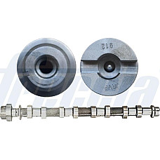 Ax cu came Arbore cu came Partea de admisie supape de admisie NISSAN INTERSTAR NV400 PRIMASTAR QASHQAI I X-TRAIL RENAULT ALASKAN (D231C), Ridica, 10.2016 - Freccia CM05-2193
