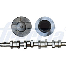 Ax cu came Arbore cu came AUDI A4 B6 A4 B7 VW PASSAT B5.5 1.9D-2.0D 12.03-06.08 AUDI A4 Avant II (8E5, B6), Turism, 02.2000 - 12.2005 Freccia CM05-2203