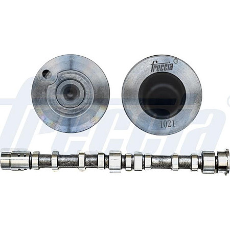 Ax cu came VW GOLF PLUS (5M1, 521), Hatchback, 12.2004 - 12.2013 Freccia CM05-2274