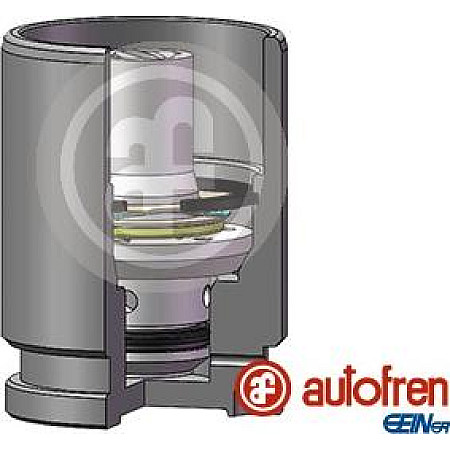 Piston, etrier frana VW JETTA IV (162, 163, AV3, AV2), Sedan, 04.2010 - AUTOFREN SEINSA D02519K