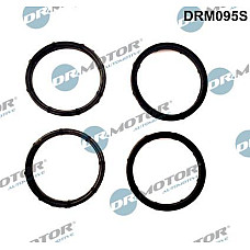 Set garnituri, galerie admisie RENAULT TRAFIC II (EL), Cadru de sprijin, 03.2001 - Dr.Motor Automotive DRM095S