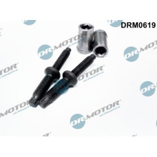 Surub, suport injector PEUGEOT 807 (EB_), Dubita, 06.2002 - Dr.Motor Automotive DRM0619