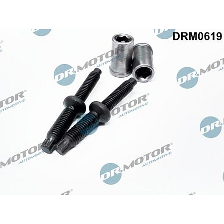 Surub, suport injector PEUGEOT 807 (EB_), Dubita, 06.2002 - Dr.Motor Automotive DRM0619