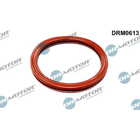Etansare, carcasa clapeta RENAULT MEGANE Scenic (JA0/1_), Dubita, 10.1996 - 12.2001 Dr.Motor Automotive DRM0613
