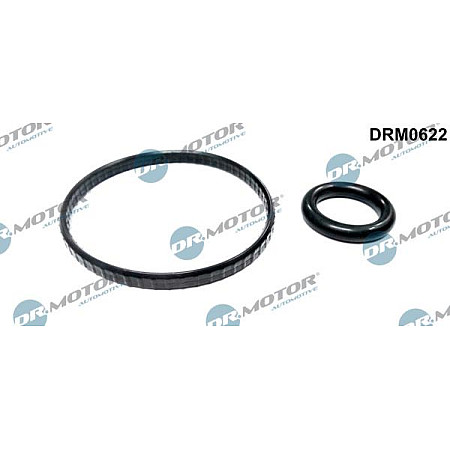 Set garnituri, radiator ulei RENAULT MEGANE II (KM0/1_), Turism, 08.2003 - 08.2012 Dr.Motor Automotive DRM0622