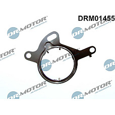Garnitura, pompa vacuum Dr.Motor Automotive DRM01455