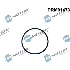 Garnitura, pompa combustibil Dr.Motor Automotive DRM01473