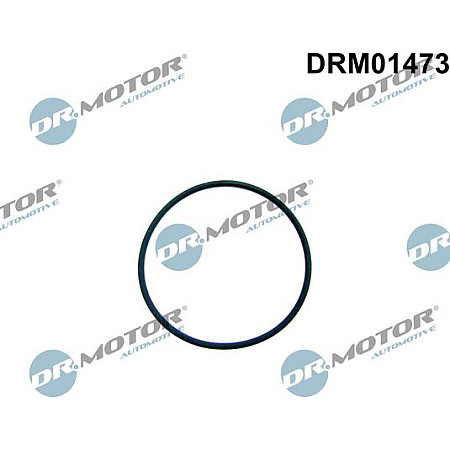 Garnitura, pompa combustibil Dr.Motor Automotive DRM01473