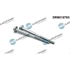 Surub, suport injector SEAT TOLEDO IV (KG3), Hatchback, 07.2012 - 04.2019 Dr.Motor Automotive DRM01079S