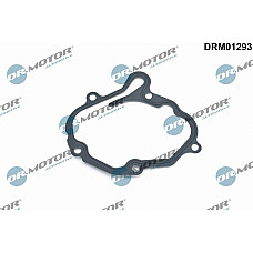 Garnitura, pompa vacuum Dr.Motor Automotive DRM01293