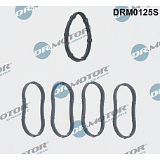 Set garnituri, galerie admisie RENAULT CLIO II (BB_, CB_), Hatchback, 03.1998 - Dr.Motor Automotive DRM0125S