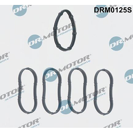 Set garnituri, galerie admisie RENAULT LAGUNA I (B56_, 556_), Hatchback, 11.1993 - 08.2002 Dr.Motor Automotive DRM0125S