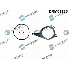 Garnitura, pompa vacuum Dr.Motor Automotive DRM01720